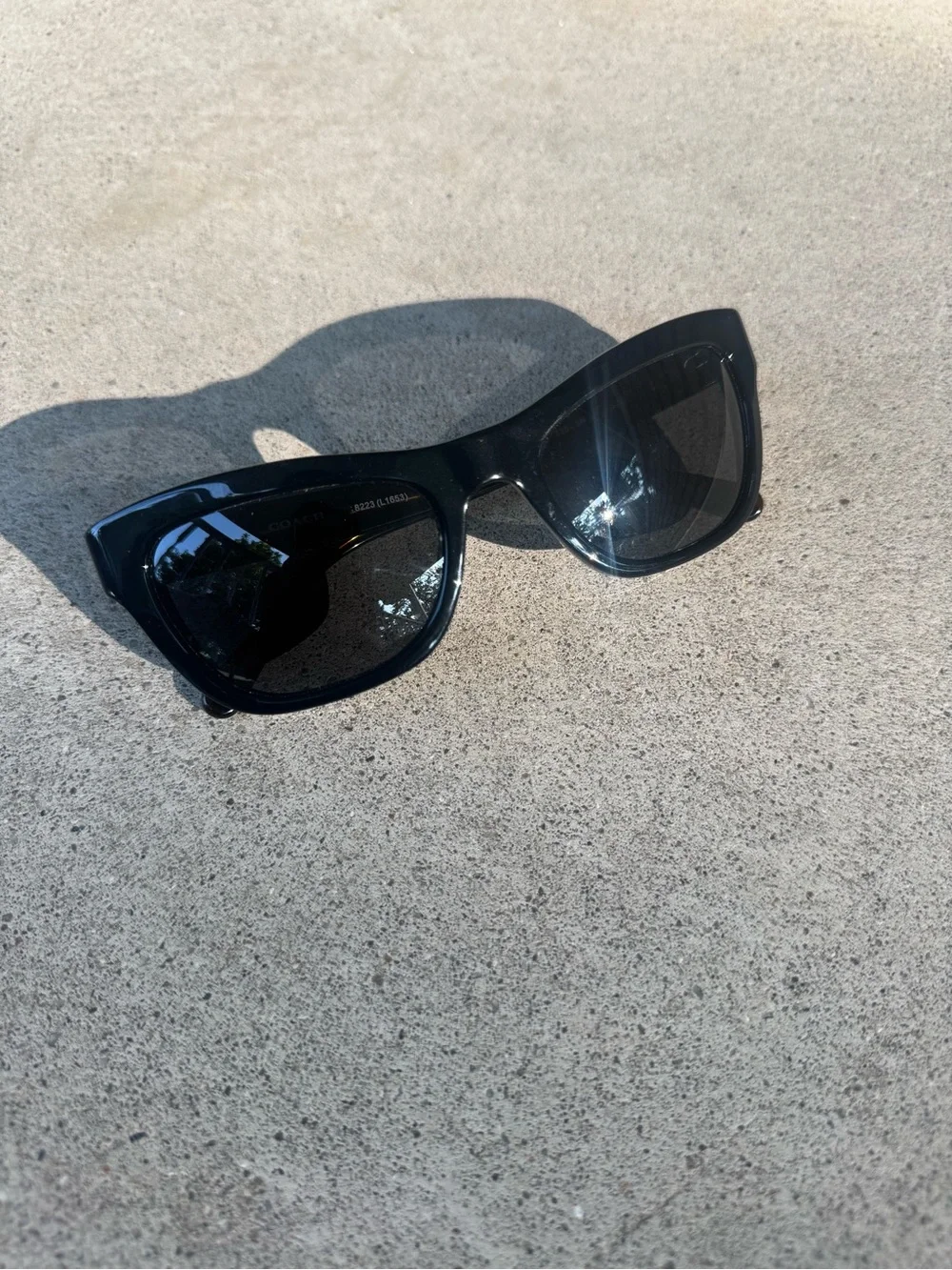 Coach Black Cat-Eye/Square Women's Sunglasses